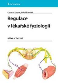 Regulace v lékařské fyziologii