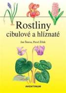 Rostliny cibulové a hlíznaté - cena, srovnání