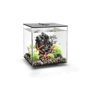 Biorb Cube 30 LED