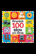 Prvních 100 slov pro šikuly - cena, srovnání