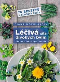 Léčivá síla divokých bylin - Základy jedlé fytoterapie