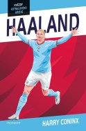 Hvězdy fotbalového hřiště - Haaland - cena, srovnání