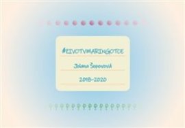 Život v maringotce 2018 - 2020