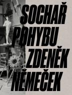 Sochař pohybu Zdeněk Němeček - cena, srovnání