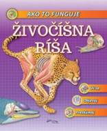 Foni book SK: Živočíšna ríša - cena, srovnání