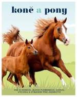 Koně a pony - cena, srovnání