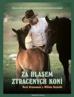 Za hlasem ztracených koní - cena, srovnání