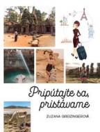 Pripútajte sa, pristávame - cena, srovnání