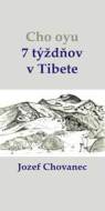 Cho-oyu. 7 týždňov v Tibete - cena, srovnání