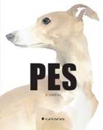 Pes v umění - cena, srovnání