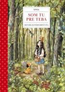 Som tu pre teba: Denník lesného dievčaťa - cena, srovnání