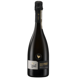 Vigna del Gal Prosecco Rive di Col San Martino Valdobbiadene DOCG Superiore Extra Dry 0,75l