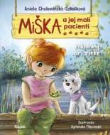 Miška a jej malí pacienti 12: Prázdniny pri rieke - cena, srovnání