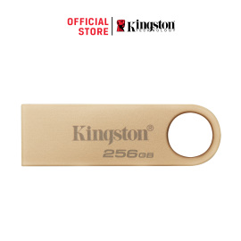 Kingston DataTraveler SE9 G3 256GB