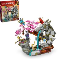 Lego NINJAGO 71819 Chrám dračieho kameňa - cena, srovnání