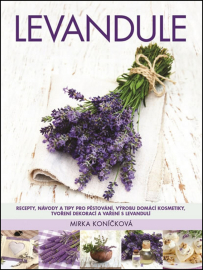 Levandule - Recepty, návody a tipy