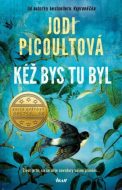 Kéž bys tu byl - cena, srovnání