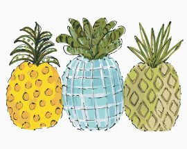 Zuty Farebné ananásy (Haley Bush), 80x100cm bez rámu a bez napnutia plátna