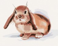 Zuty Hnedý králik na bielom pozadí, 80x100cm plátno napnuté na rám - cena, srovnání