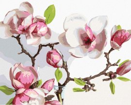 Zuty Jarná kvitnúca magnólia, 80x100cm bez rámu a bez napnutia plátna