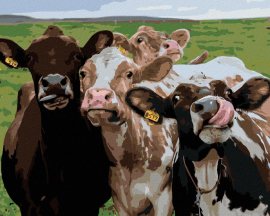 Zuty Krava a jej kamaráti, 80x100cm plátno napnuté na rám
