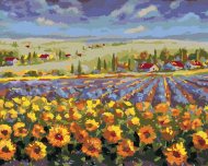 Zuty Levanduľové pole so slnečnicami, 80x100cm plátno napnuté na rám - cena, srovnání