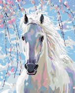 Zuty Maľovanie podľa čísel Biely kôň, 80x100cm bez rámu a bez vypnutia plátna - cena, srovnání