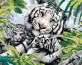 Zuty Maľovanie podľa čísel Biely tiger a dve mláďatá (Howard Robinson), 80x100cm bez rámu a bez napnutia plátna