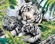 Zuty Maľovanie podľa čísel Biely tiger a dve mláďatá (Howard Robinson), 80x100cm napnuté plátno na rám - cena, srovnání