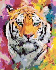 Zuty Maľovanie podľa čísel Tiger vo farbách, 80x100cm napnuté plátno na rám