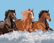 Zuty Maľovanie podľa čísel Tri kone vo vode, 80x100cm napnuté plátno na rám - cena, srovnání