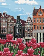 Zuty Maľovanie podľa čísel Tulipány v Amsterdame II, 80x100cm napnuté plátno na rám - cena, srovnání