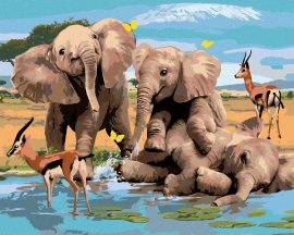 Zuty Maľovanie podľa čísel Veselé slony a gazely pri vode (Howard Robinson), 80x100cm bez rámu a bez napnutia plátna