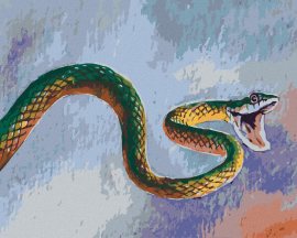Zuty Maľovanie podľa čísel Zelený had, 80x100cm bez rámu a bez napnutia plátna