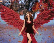 Zuty Maľovanie podľa čísel Žena s anjelskými červenými krídlami, 80x100cm bez rámu a bez napnutia plátna - cena, srovnání