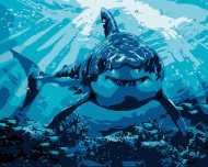 Zuty Maľovanie podľa čísel Žralok biely (Howard Robinson), 80x100cm napnuté plátno na rám - cena, srovnání