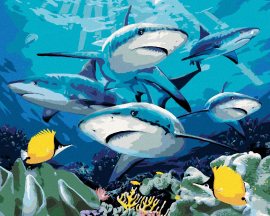 Zuty Maľovanie podľa čísel Žraloky a koralový útes (Howard Robinson), 80x100cm bez rámu a bez napnutia plátna