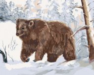 Zuty Medveď v zasneženom lese, 80x100cm plátno napnuté na rám - cena, srovnání