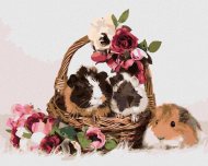 Zuty Morčatá v košíku s kvetinami, 80x100cm plátno napnuté na rám - cena, srovnání