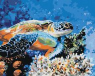 Zuty Morská korytnačka, 80x100cm bez rámu a bez napnutia plátna - cena, srovnání