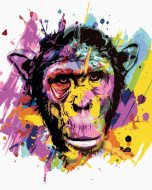 Zuty Opica na farebnom pozadí, 80x100cm plátno napnuté na rám - cena, srovnání