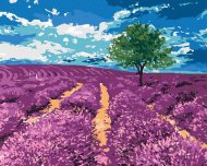 Zuty Pole levandule so stromom, 80x100cm plátno napnuté na rám - cena, srovnání