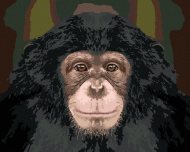 Zuty Portrét šimpanza, 80x100cm bez rámu a bez napnutia plátna - cena, srovnání