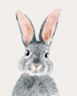 Zuty Sivý králik, 80x100cm plátno napnuté na rám - cena, srovnání