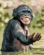 Zuty Šťastný šimpanz, 80x100cm bez rámu a bez napnutia plátna - cena, srovnání