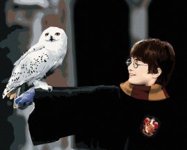 Zuty Harry Potter s Hedvigou na ruke, 40x50cm plátno napnuté na rám