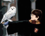 Zuty Harry Potter s Hedvigou na ruke, 40x50cm plátno napnuté na rám - cena, srovnání