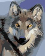 Zuty Hlava vlka, 40x50cm plátno napnuté na rám - cena, srovnání