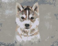 Zuty Husky na sivom pozadí, 40x50cm bez rámu a bez napnutia plátna - cena, srovnání