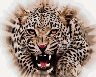 Zuty Jaguár útočí, 40x50cm plátno napnuté na rám - cena, srovnání